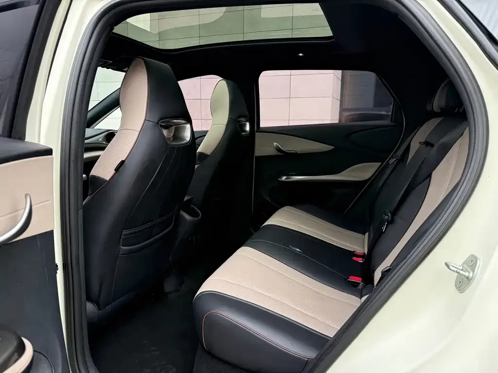 BYD Dolphin 2023 из CN, фото 6