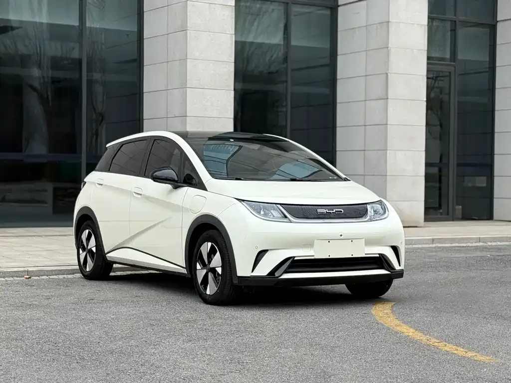 BYD Dolphin 2023 из CN, фото 7
