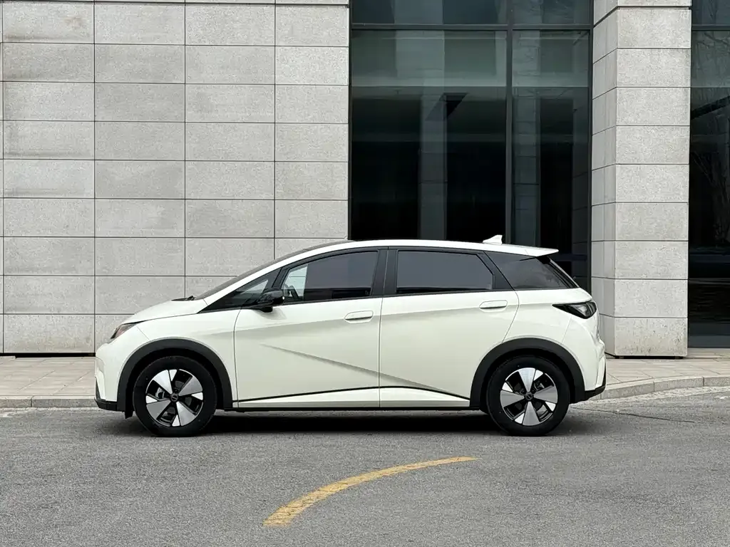 BYD Dolphin 2023 из CN, фото 10