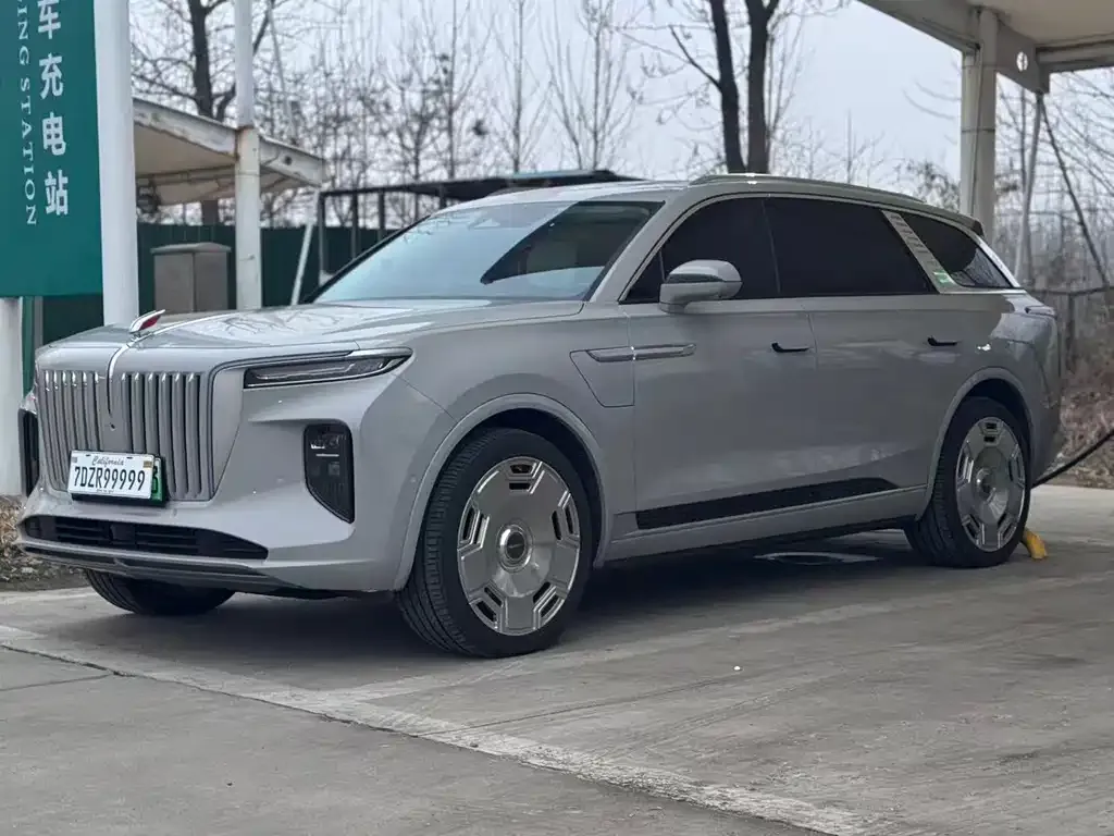 Hongqi E-HS9 2021 из CN, фото 1