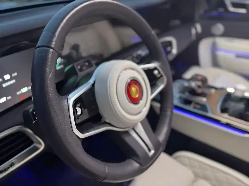 Hongqi E-HS9 2021 из CN, фото 3