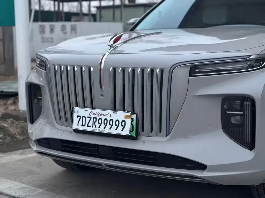 Hongqi E-HS9 2021 из CN, фото 7