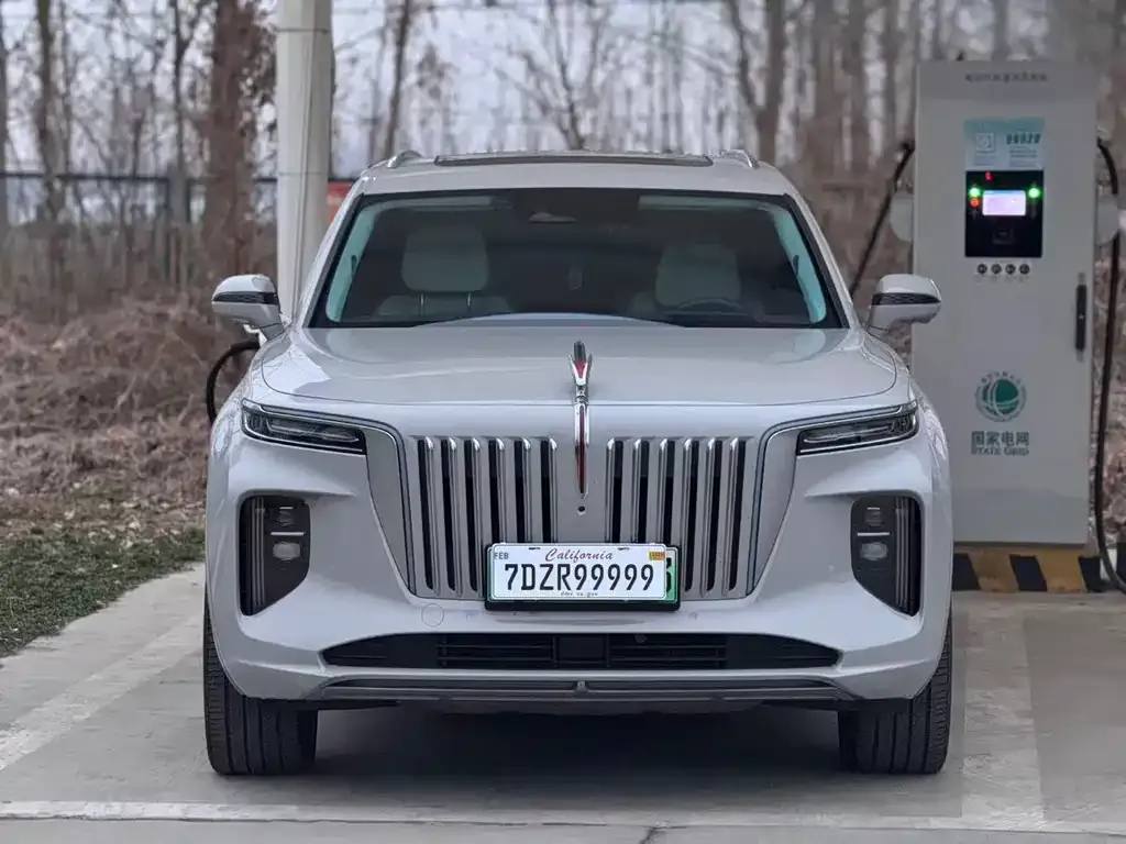 Hongqi E-HS9 2021 из CN, фото 8