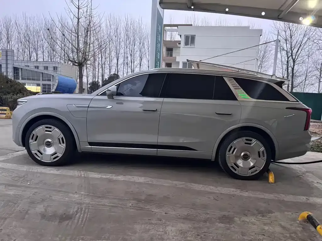 Hongqi E-HS9 2021 из CN, фото 10