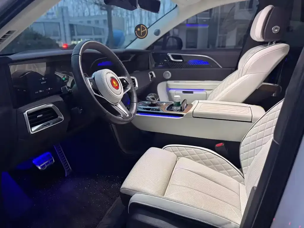 Hongqi E-HS9 2021 из CN, фото 4