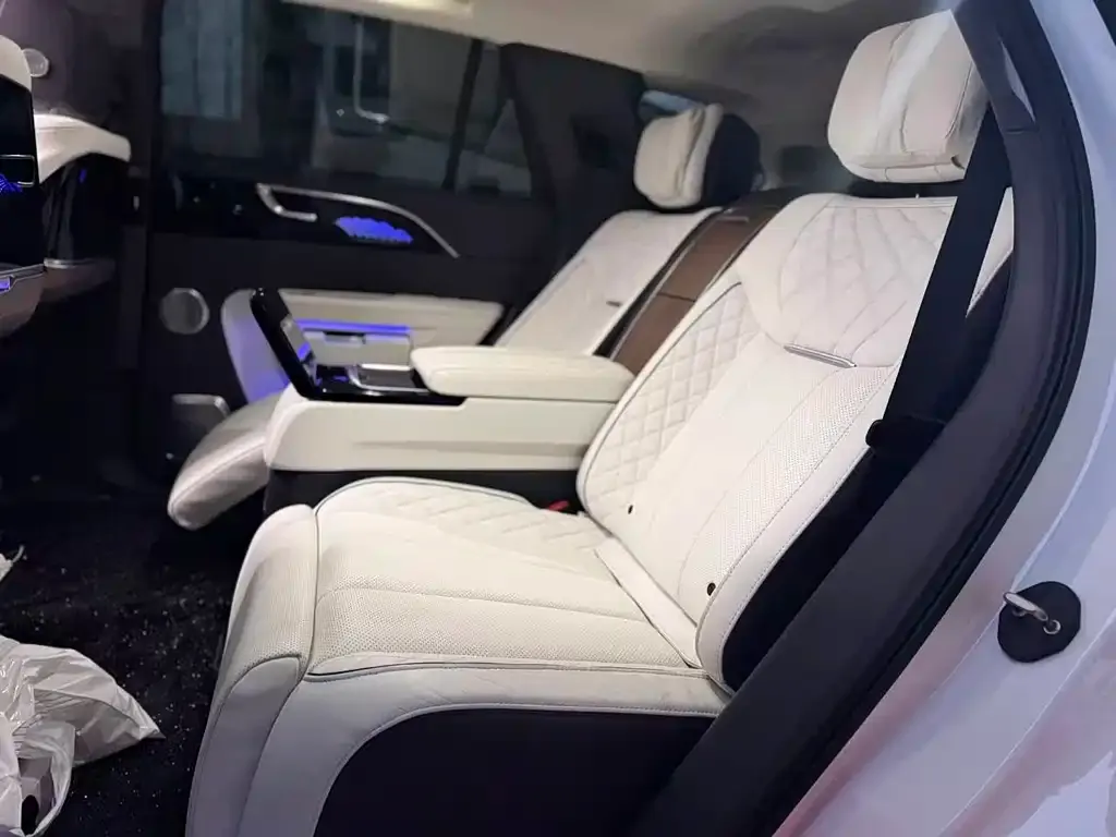 Hongqi E-HS9 2021 из CN, фото 5