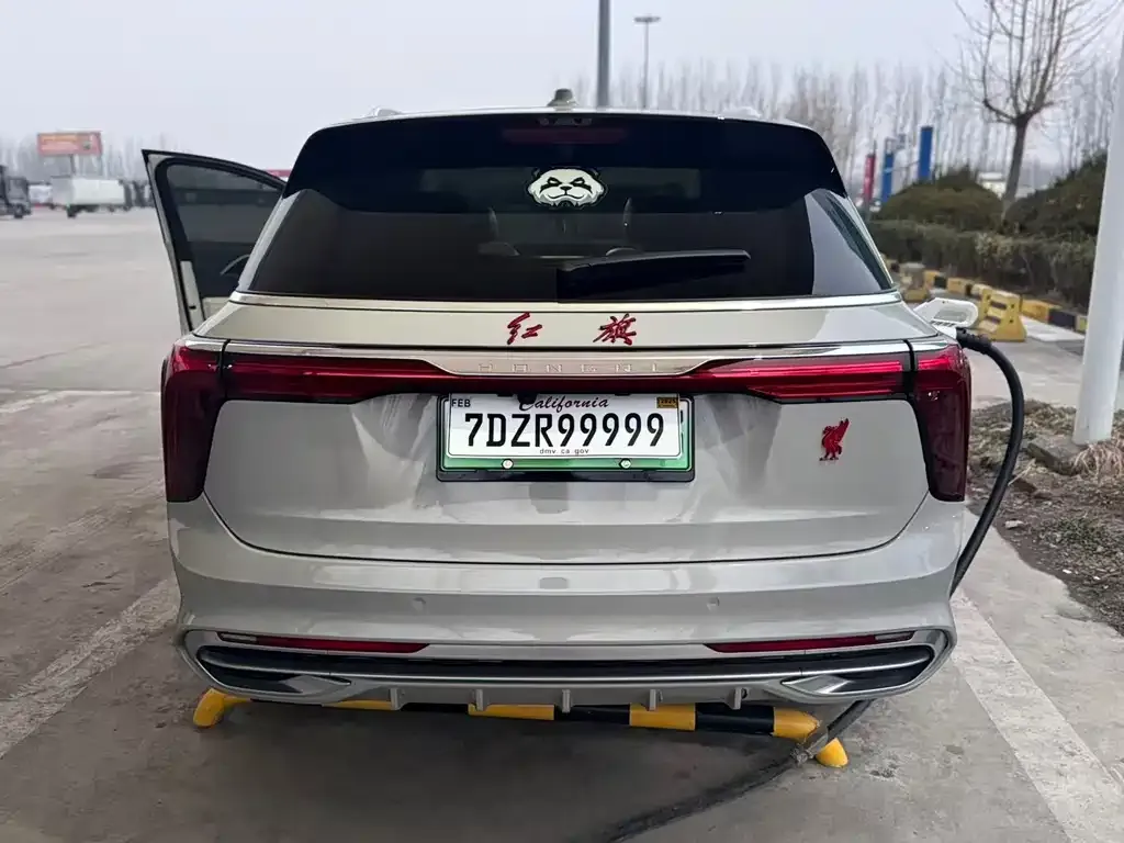 Hongqi E-HS9 2021 из CN, фото 9