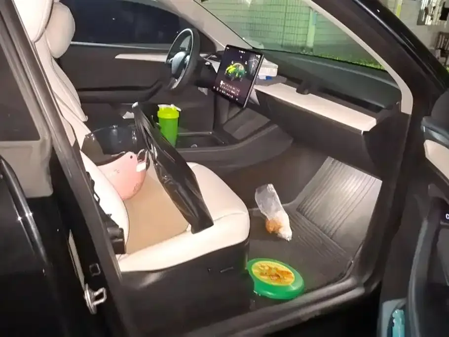 Tesla Model Y 2023 из CN, фото 4