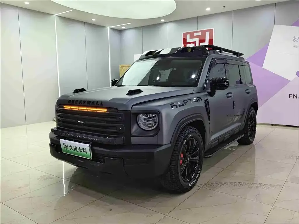 Haval Menglong New Energy — фото 1