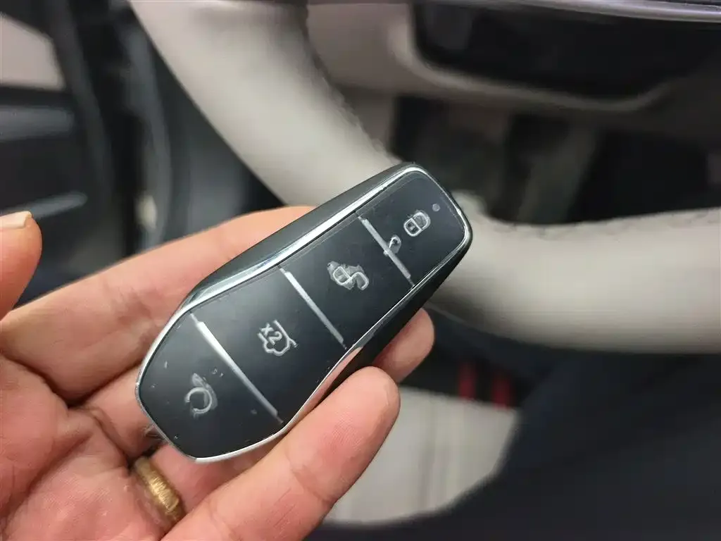 BYD Tang New Energy 2025 из CN, фото 8