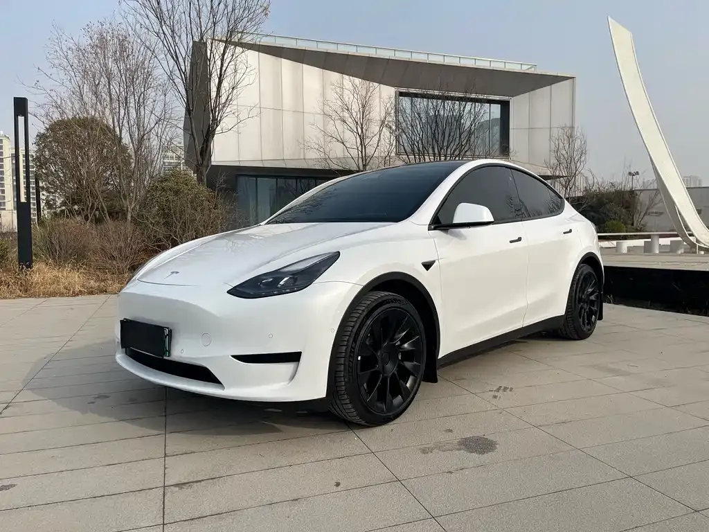 Tesla Model Y 2022 из CN, фото 1