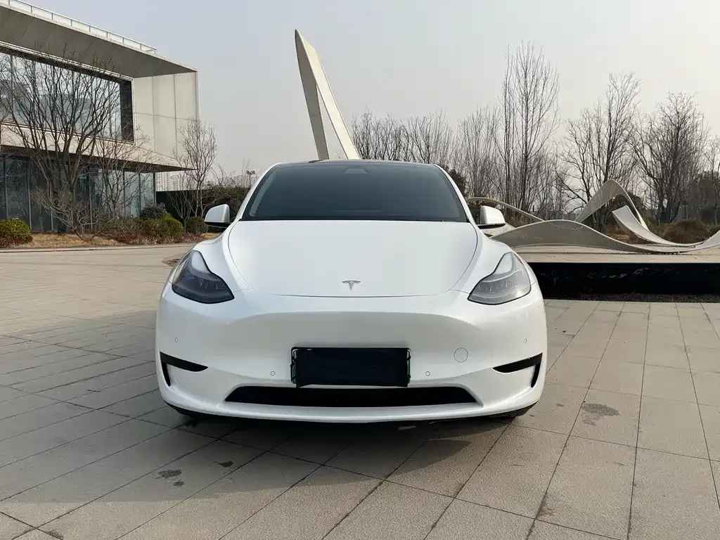 Tesla Model Y 2022 из CN, фото 7
