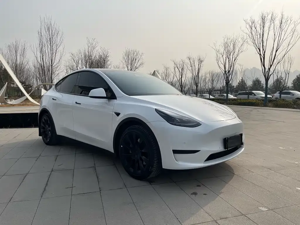 Tesla Model Y 2022 из CN, фото 8