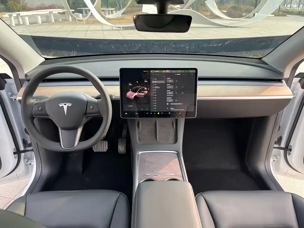 Tesla Model Y 2022 из CN, фото 2