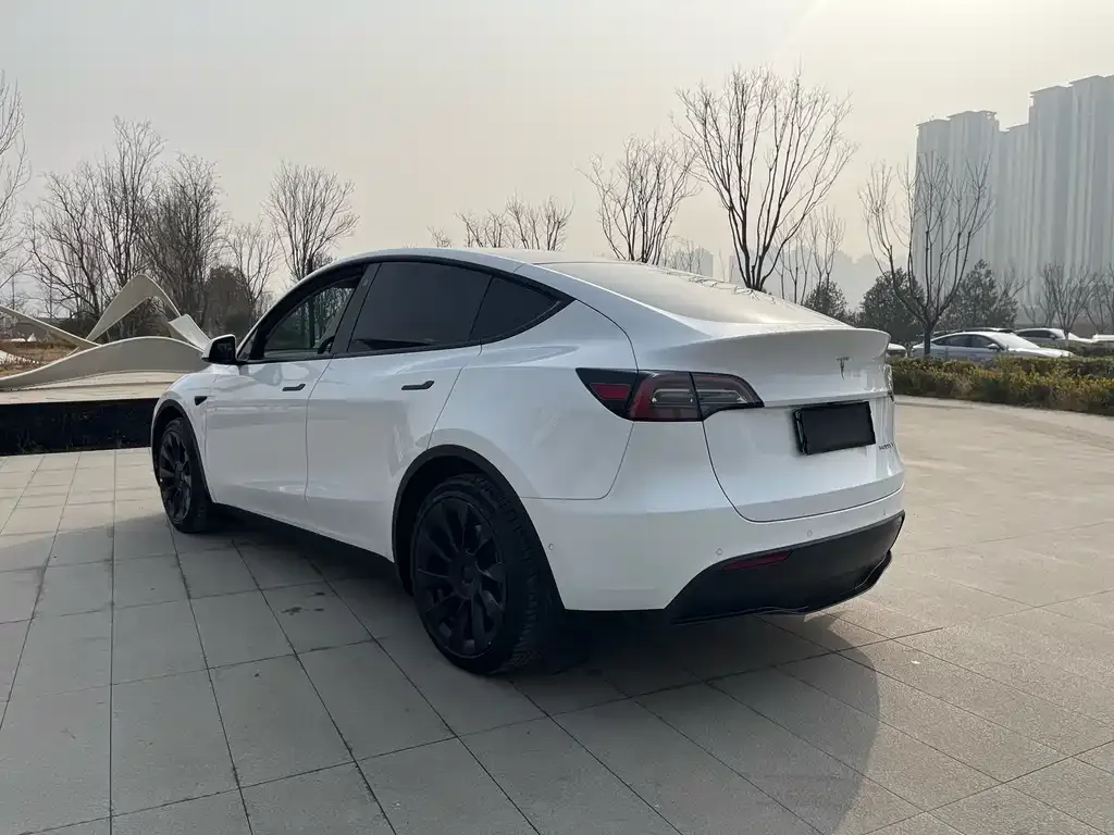 Tesla Model Y 2022 из CN, фото 4