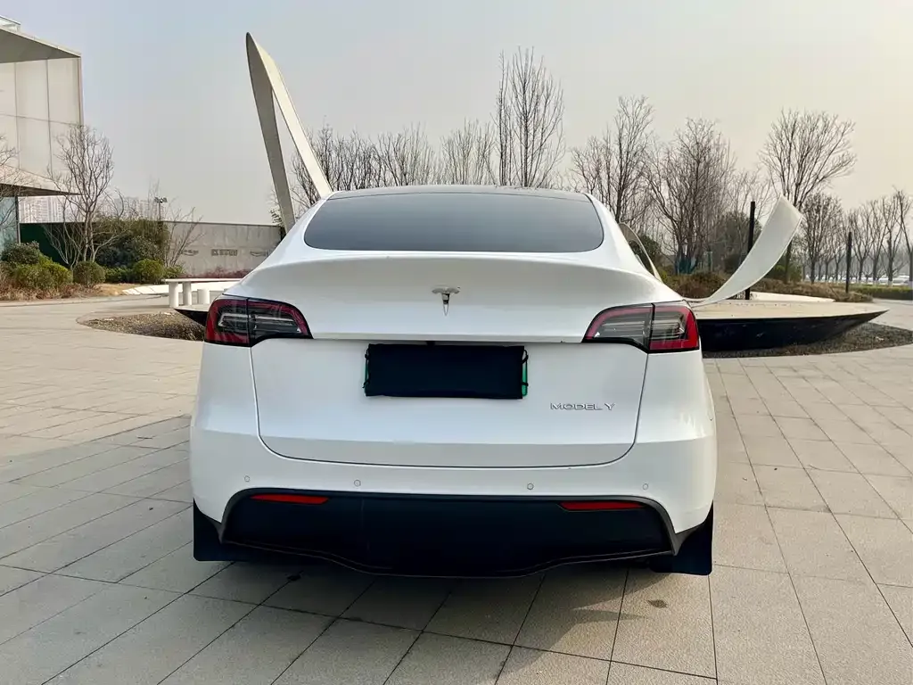 Tesla Model Y 2022 из CN, фото 9