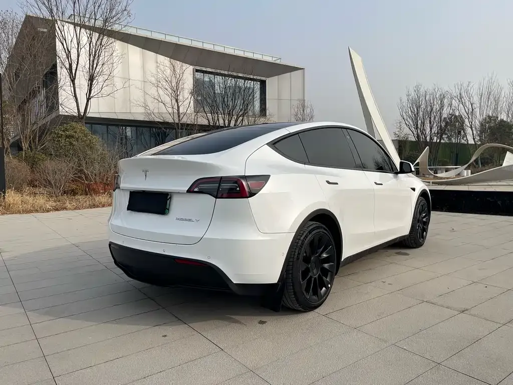 Tesla Model Y 2022 из CN, фото 6