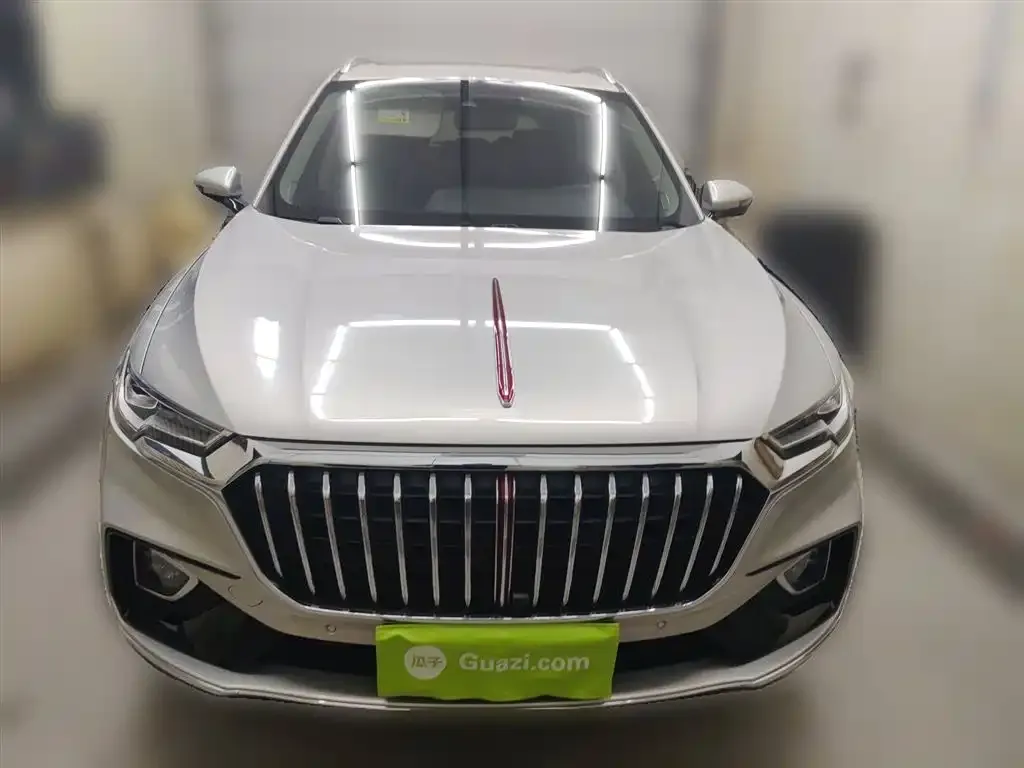 Hongqi HS5 2021 из CN, фото 6