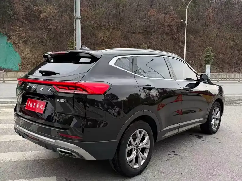 Haval H6 2021 из CN, фото 7