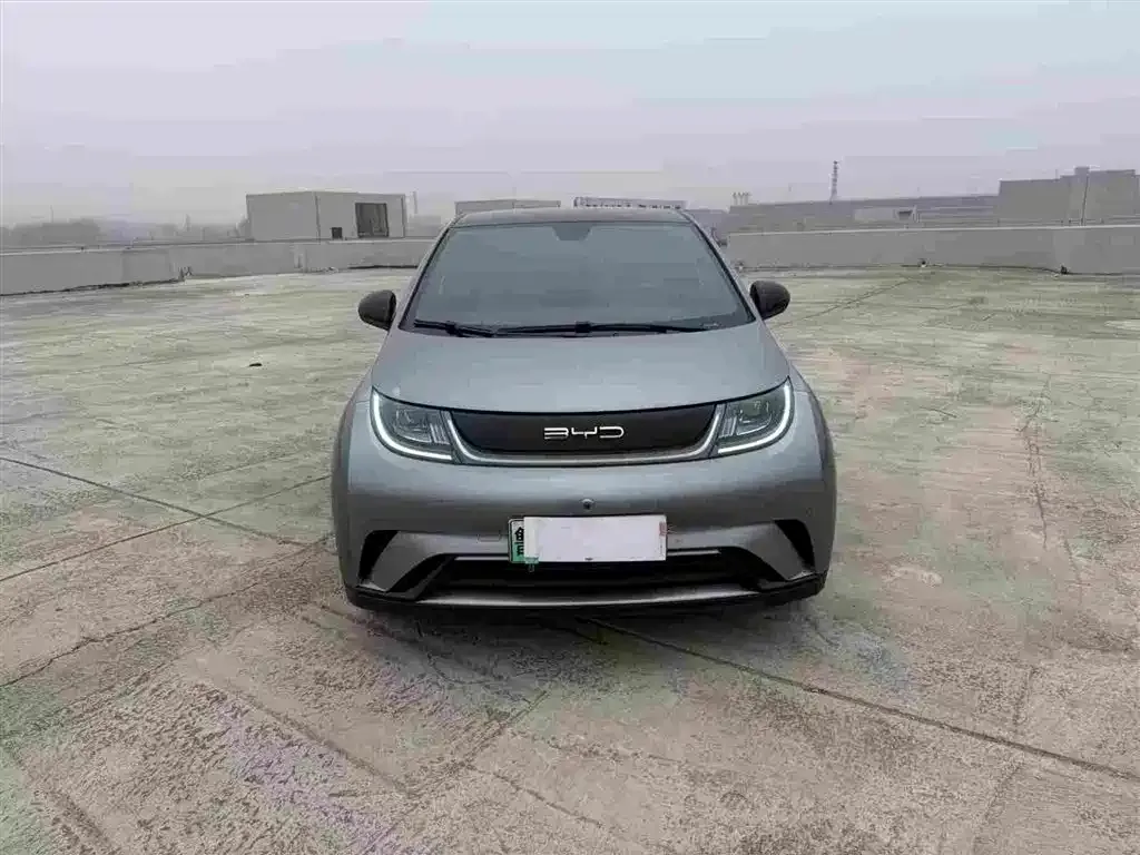 BYD Dolphin 2024 из CN, фото 4