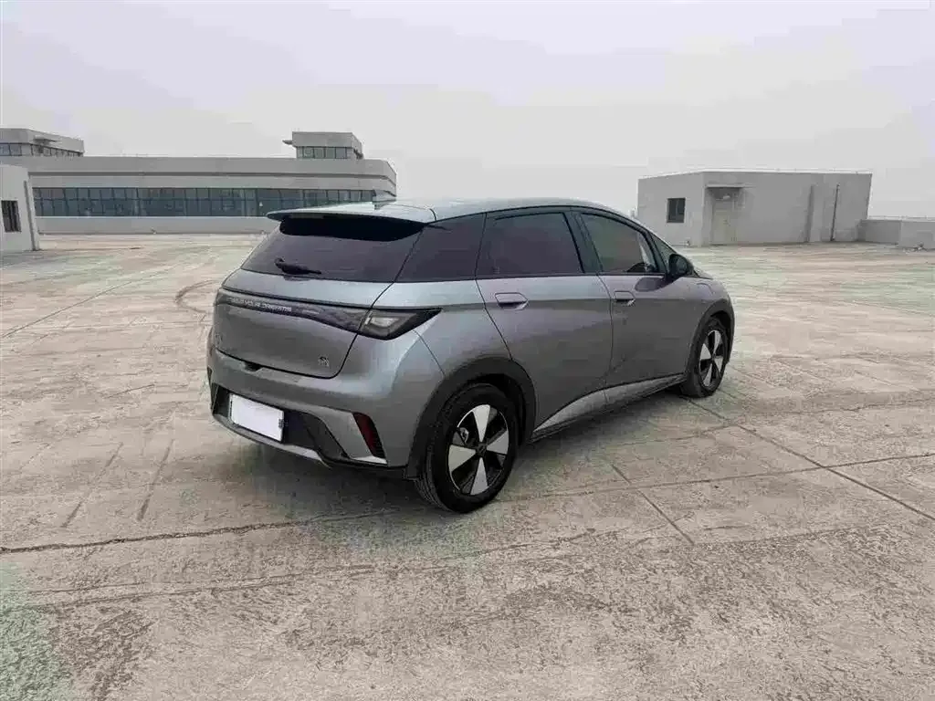 BYD Dolphin 2024 из CN, фото 3