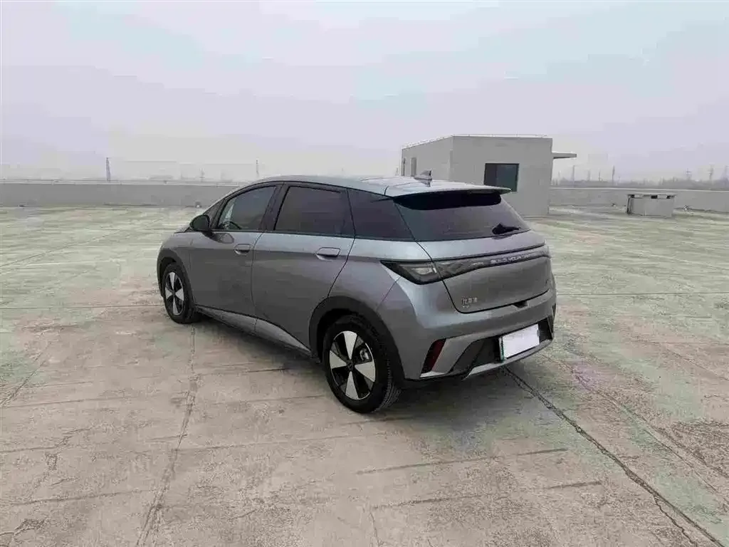 BYD Dolphin 2024 из CN, фото 8