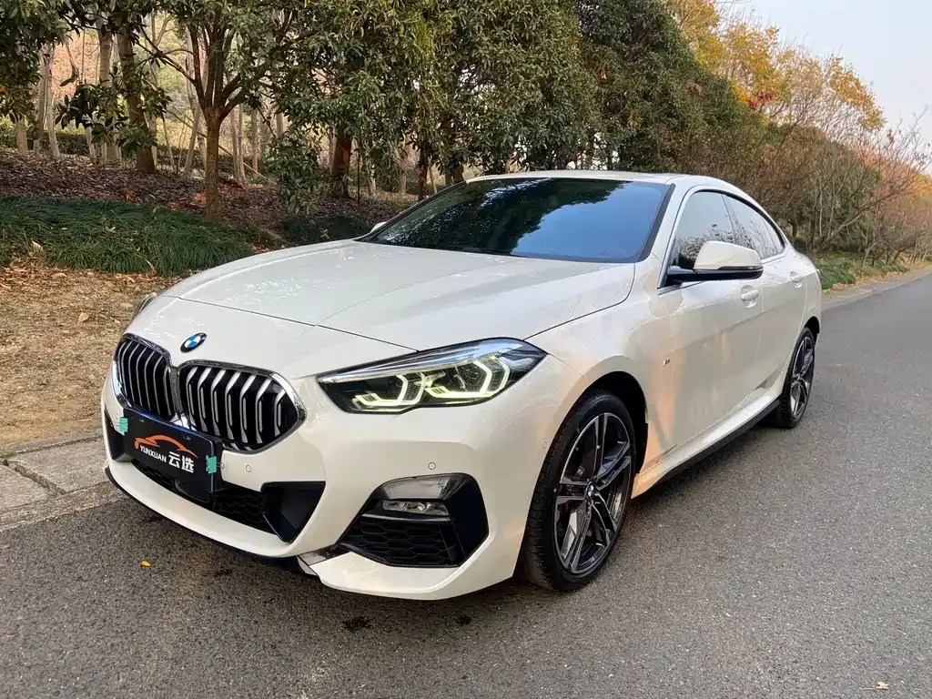 BMW 2 Series (Import) 2022 из CN, фото 1