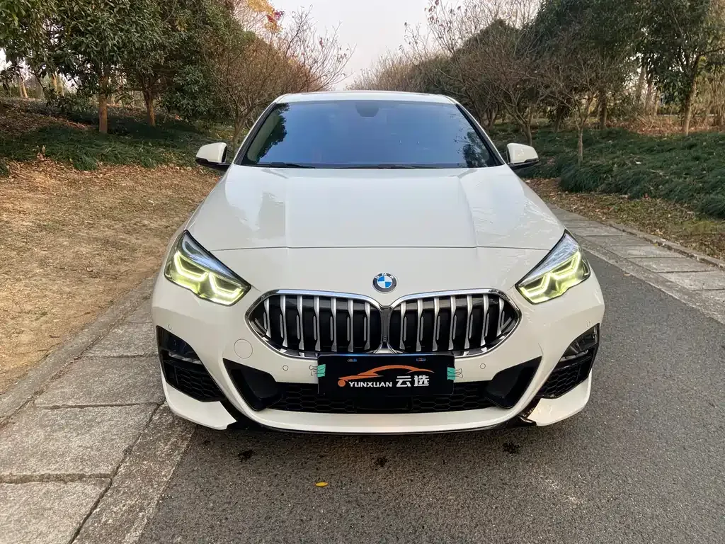 BMW 2 Series (Import) 2022 из CN, фото 6