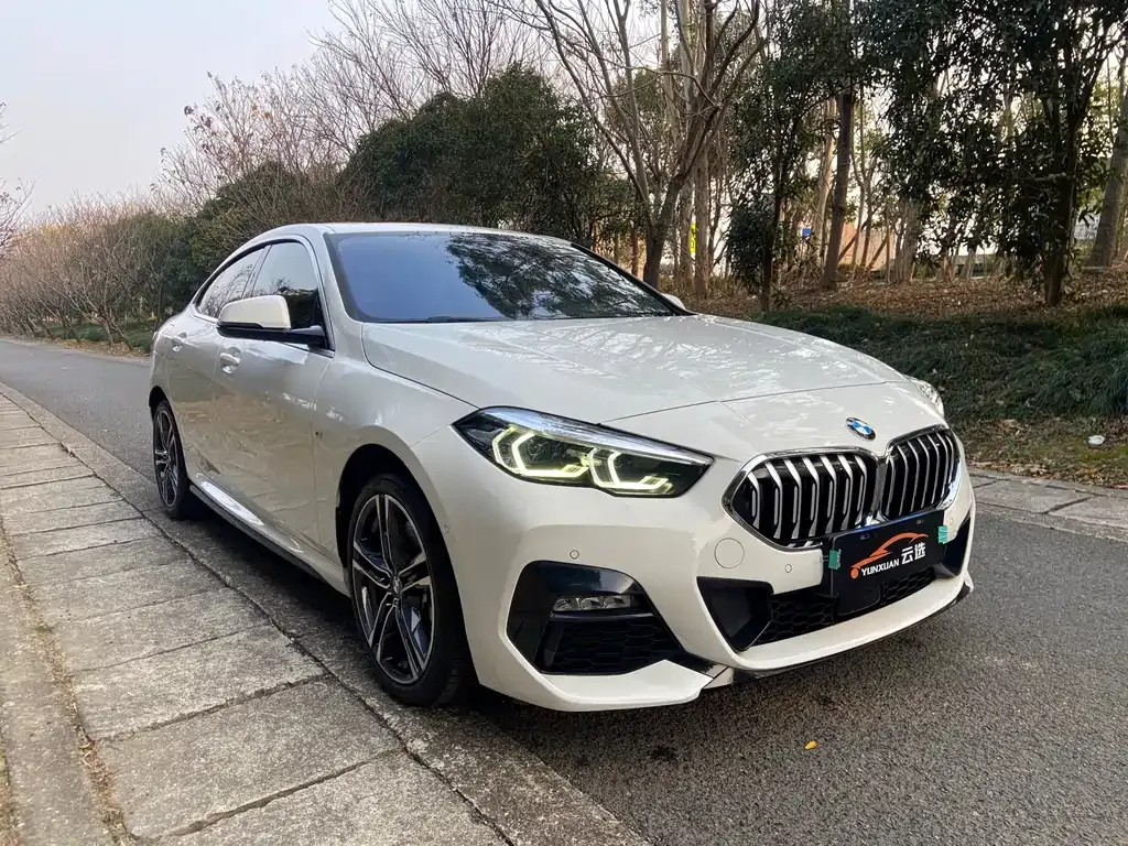 BMW 2 Series (Import) 2022 из CN, фото 10