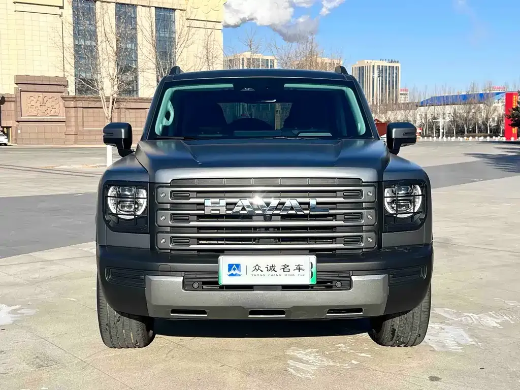 Haval Menglong New Energy 2024 из CN, фото 7