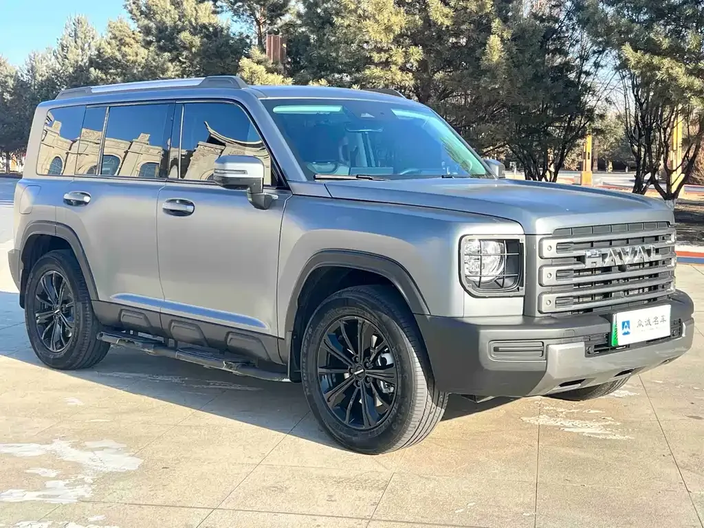 Haval Menglong New Energy 2024 из CN, фото 9