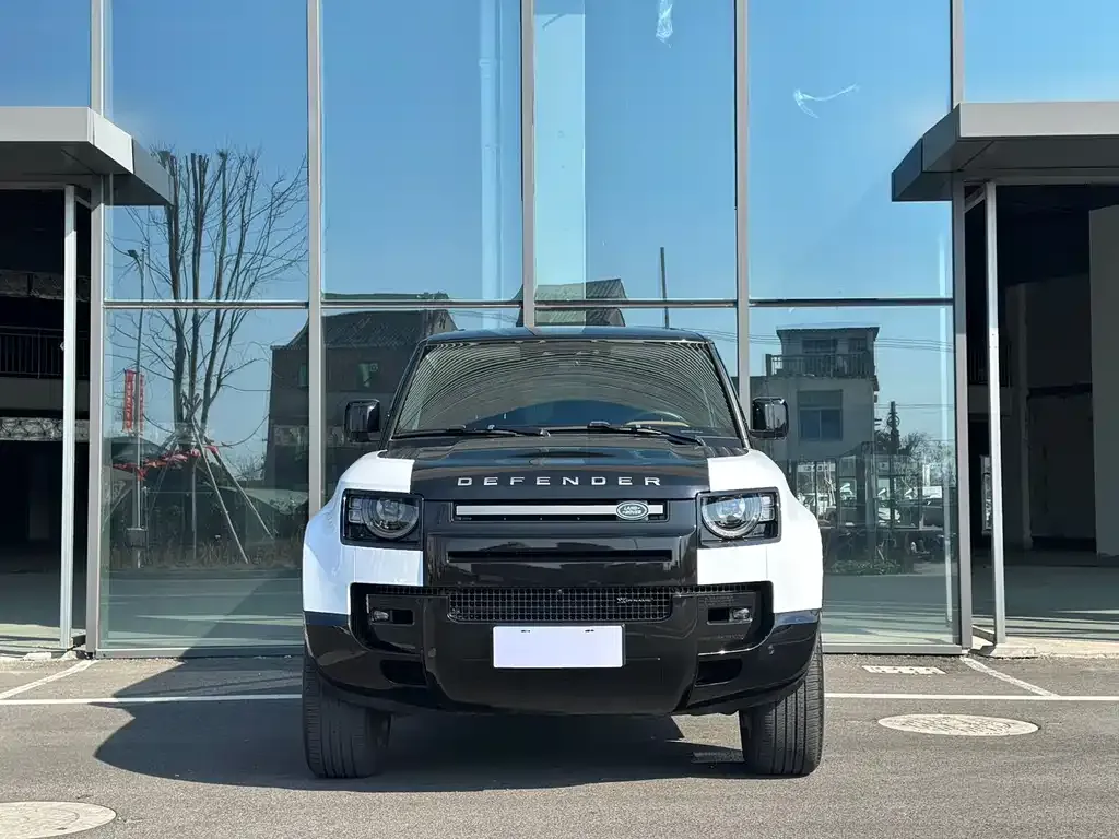 Land Rover Defender 2022 из CN, фото 1
