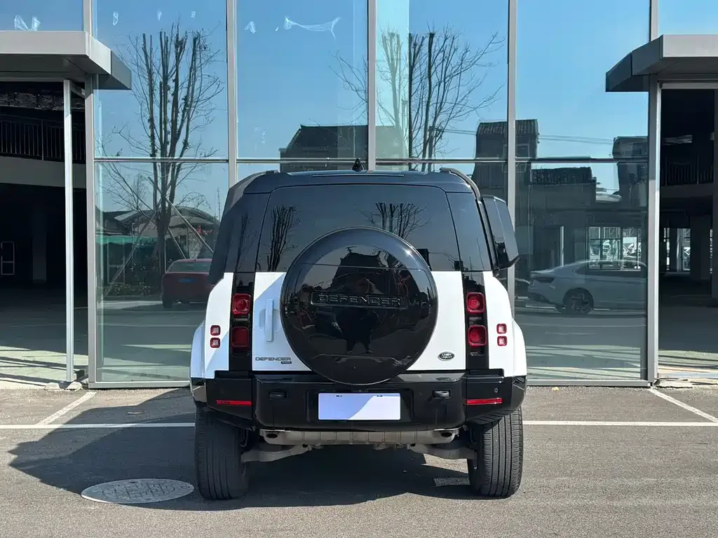 Land Rover Defender 2022 из CN, фото 4