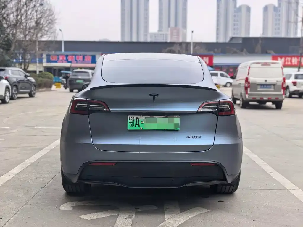 Tesla Model Y — фото 2
