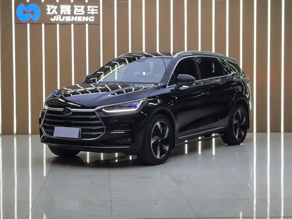 BYD Tang New Energy 2024 из CN, фото 1