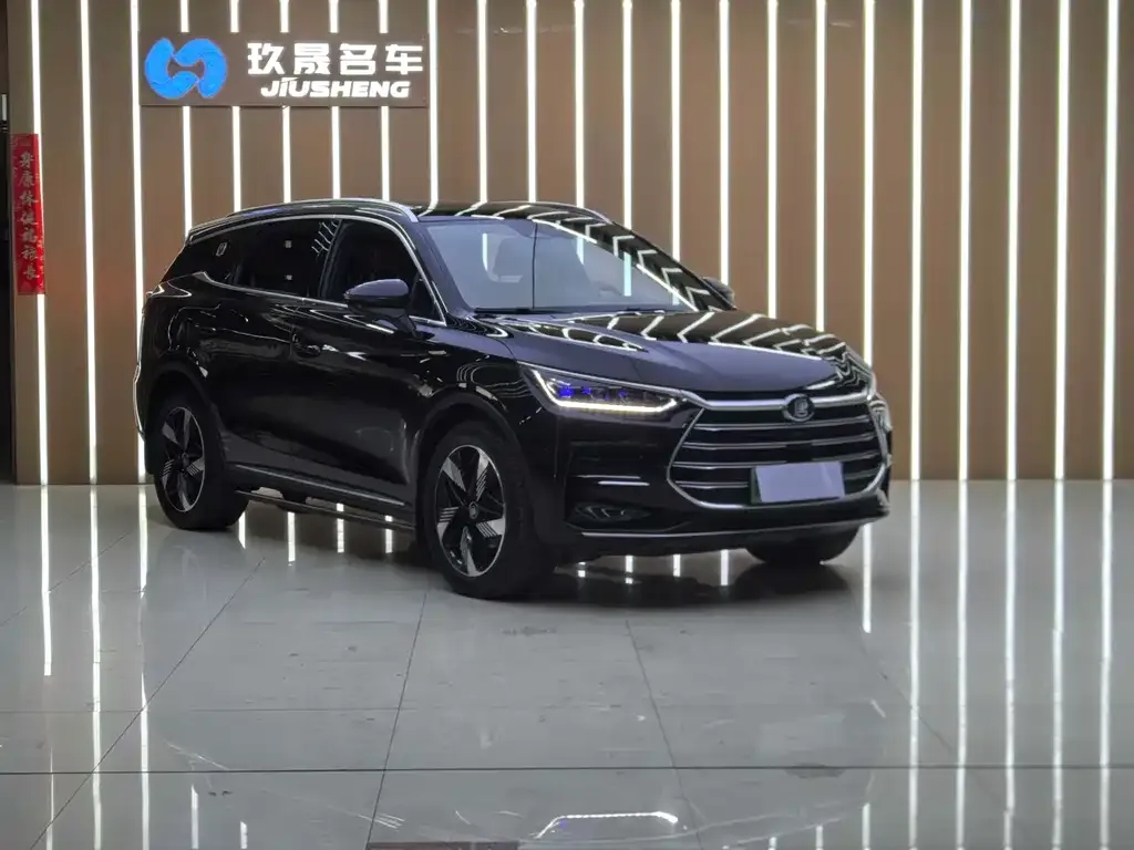 BYD Tang New Energy 2024 из CN, фото 5