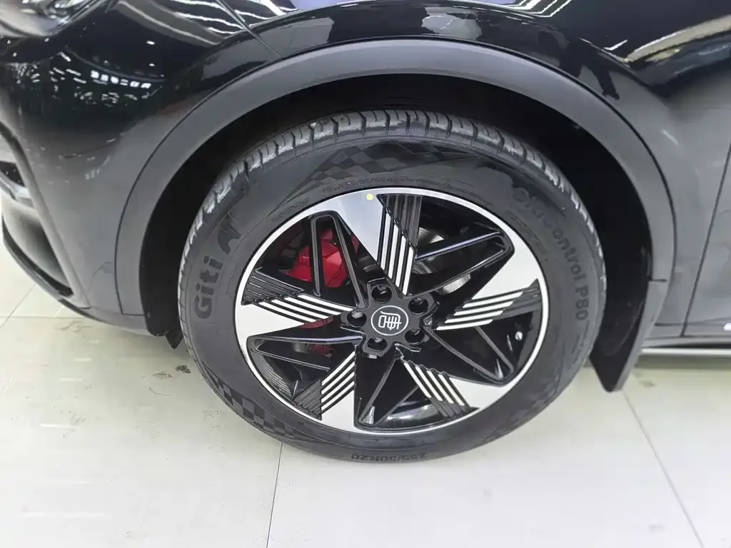 BYD Tang New Energy 2024 из CN, фото 6