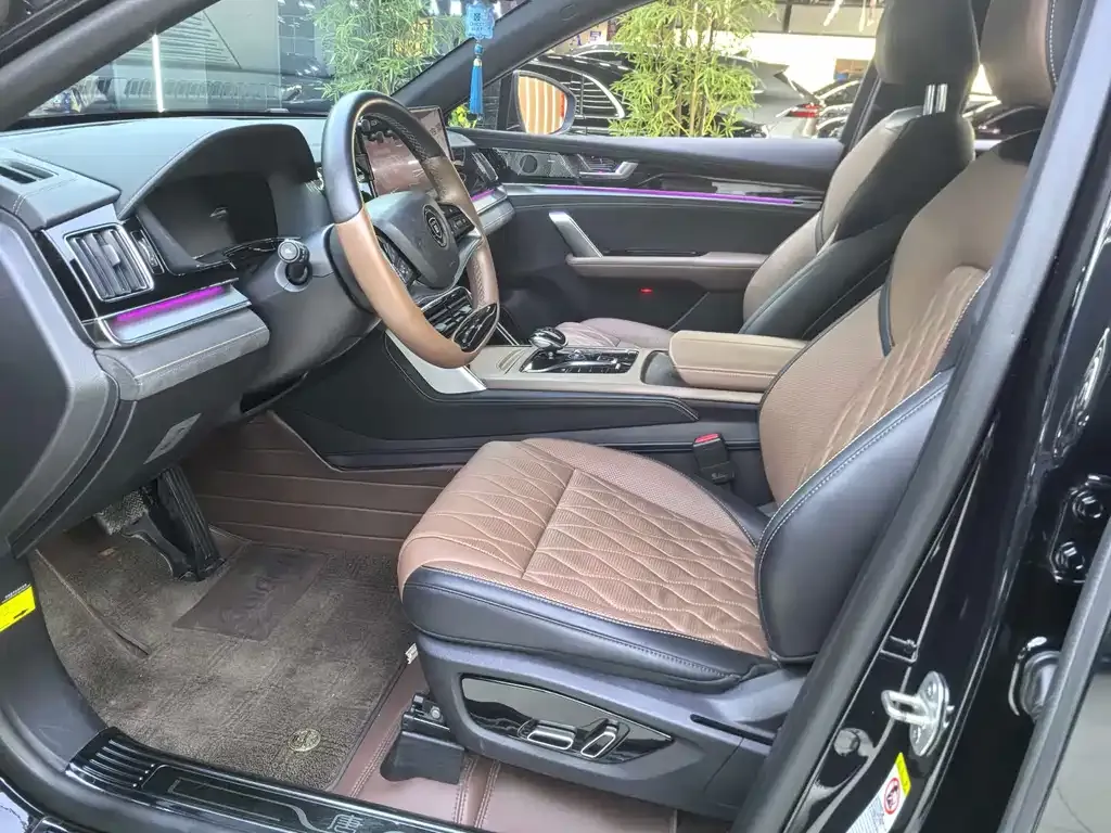 BYD Tang New Energy 2024 из CN, фото 8
