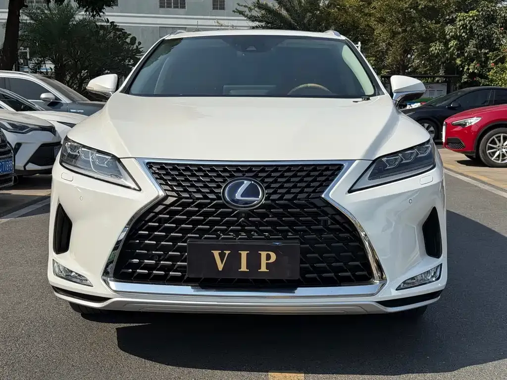 Lexus RX 2021 из CN, фото 9