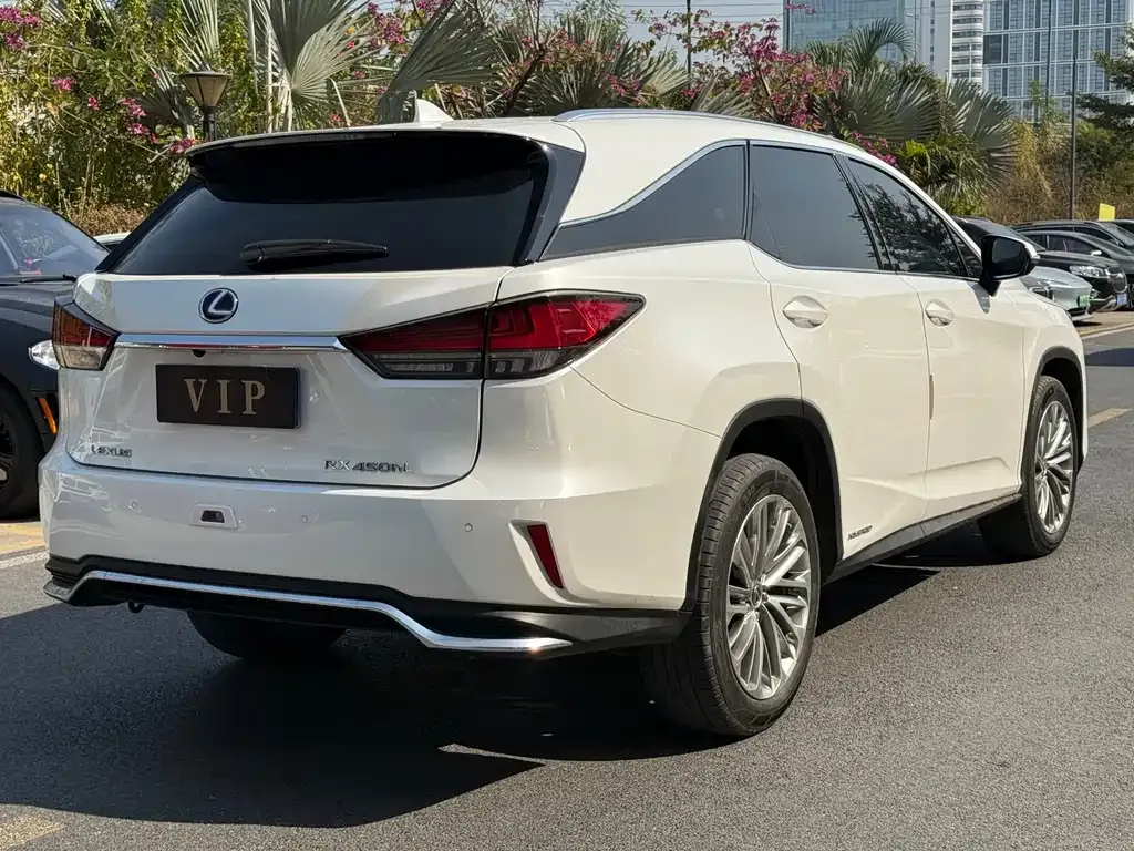 Lexus RX 2021 из CN, фото 8