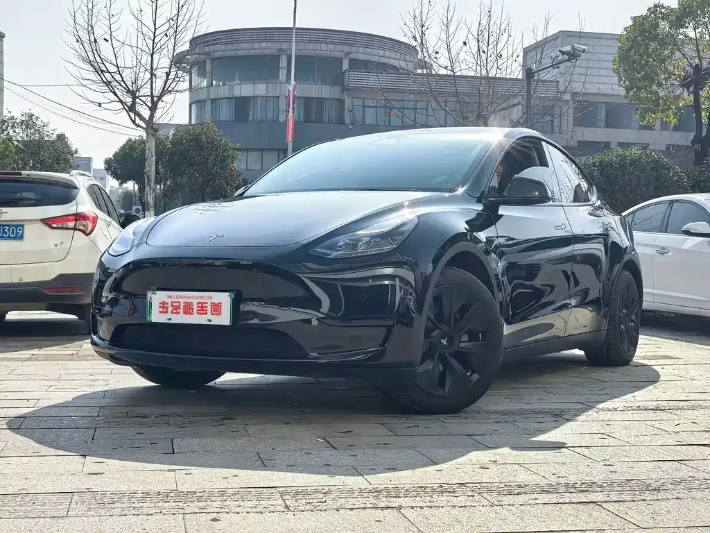 Tesla Model Y — фото 1