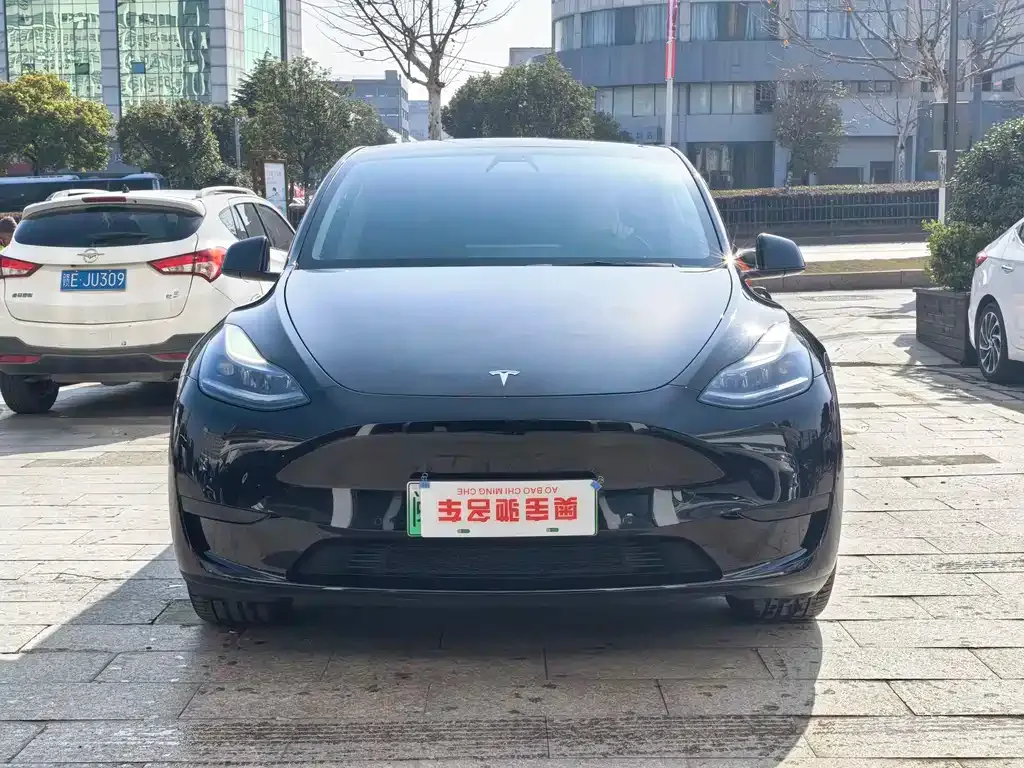 Tesla Model Y — фото 7