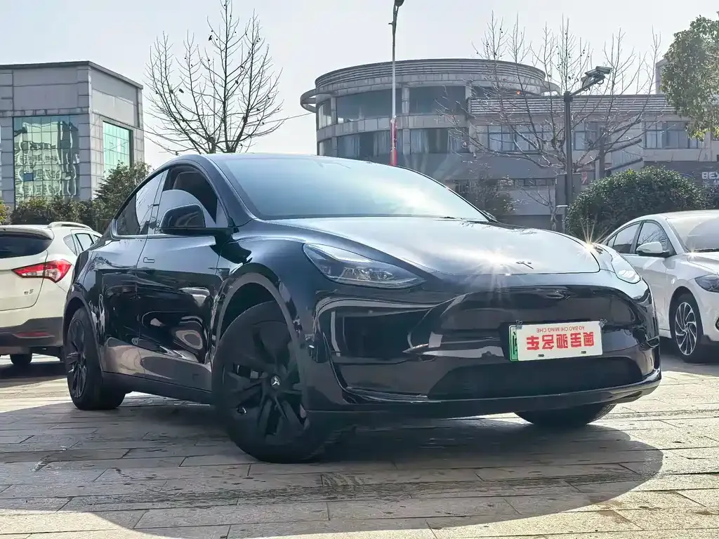 Tesla Model Y — фото 8
