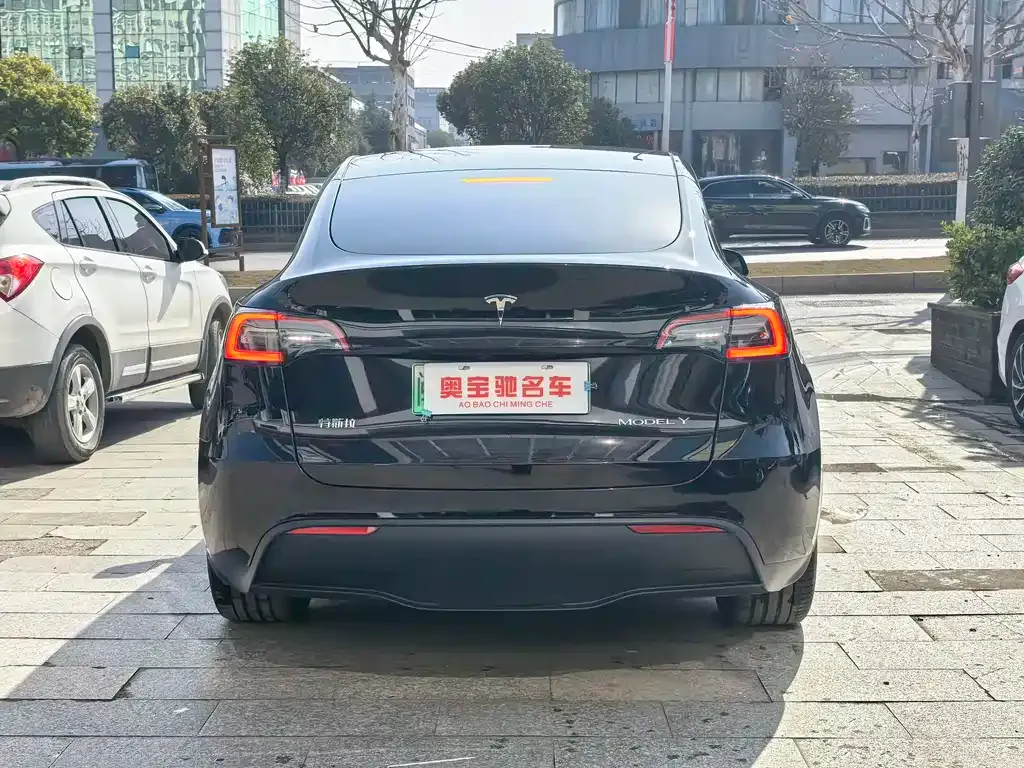 Tesla Model Y — фото 5