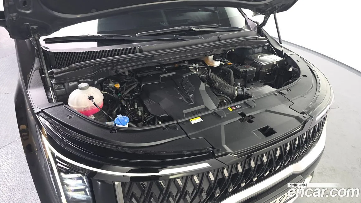 Kia Carnival — фото 10