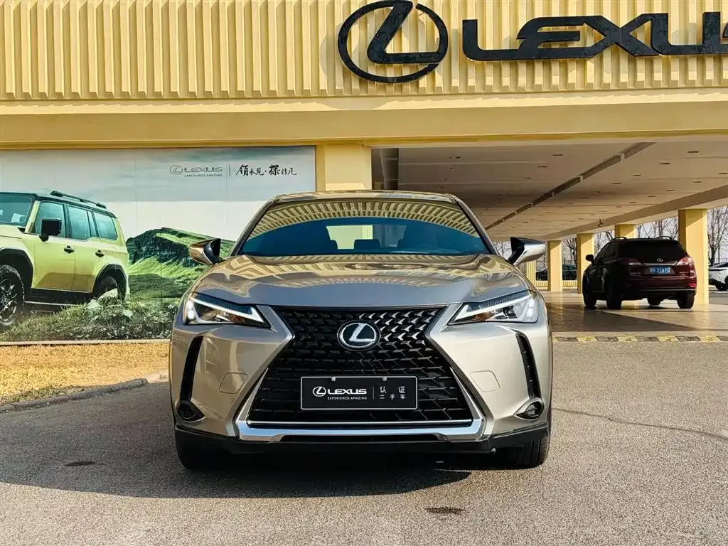 Lexus UX 2021 из CN, фото 6