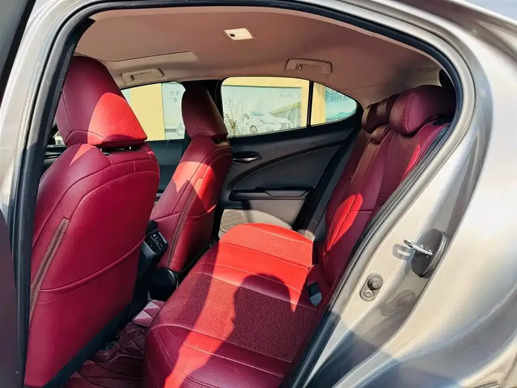 Lexus UX 2021 из CN, фото 5