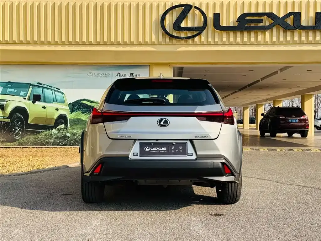 Lexus UX 2021 из CN, фото 9