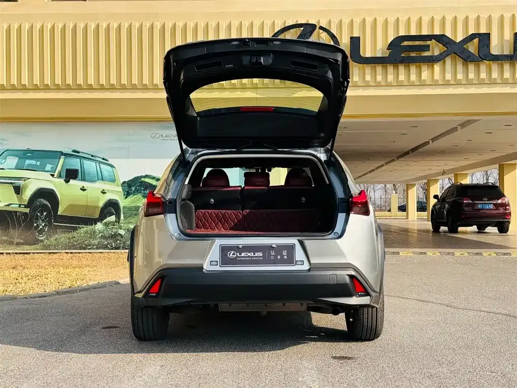 Lexus UX 2021 из CN, фото 7