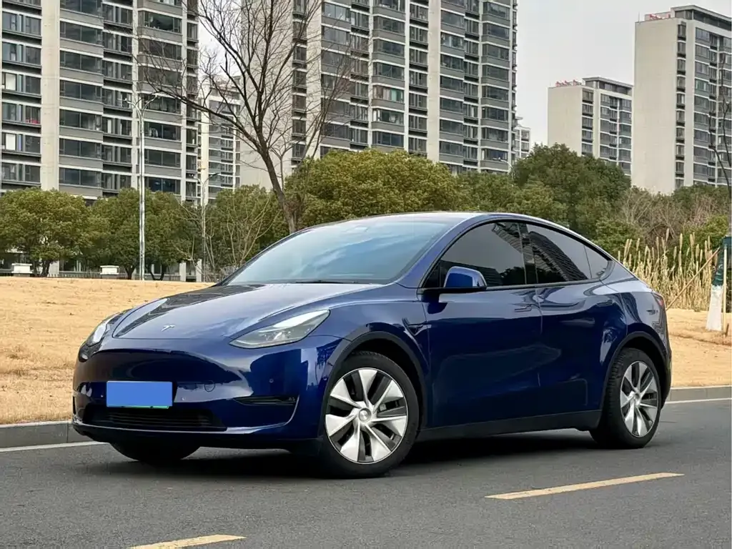 Tesla Model Y 2021 из CN, фото 1